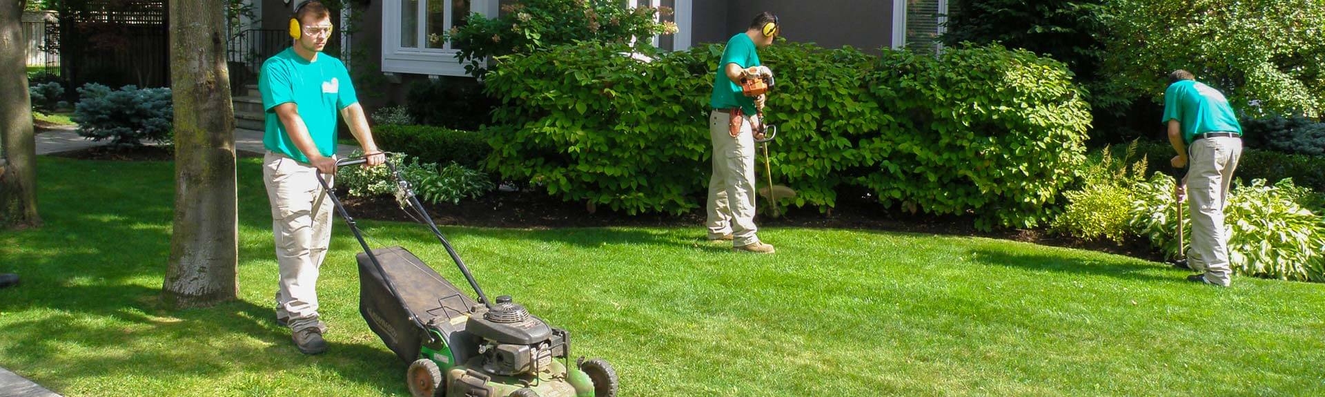 Fall Yard Clean Up Burlington On Residential Property Maintenance Fall Yard Clean Up
