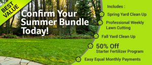 Professional Weekly Lawn Cutting