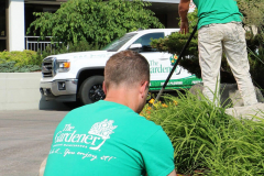 Attention-to-detail-is-in-our-DNA