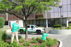 Dont-just-hire-a-lawn-mowing-company