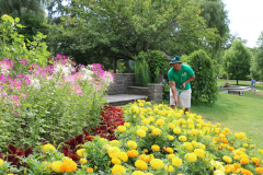 We-are-called-The-Gardener-afterall