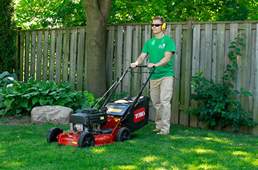 Grass Mowing and Gardening