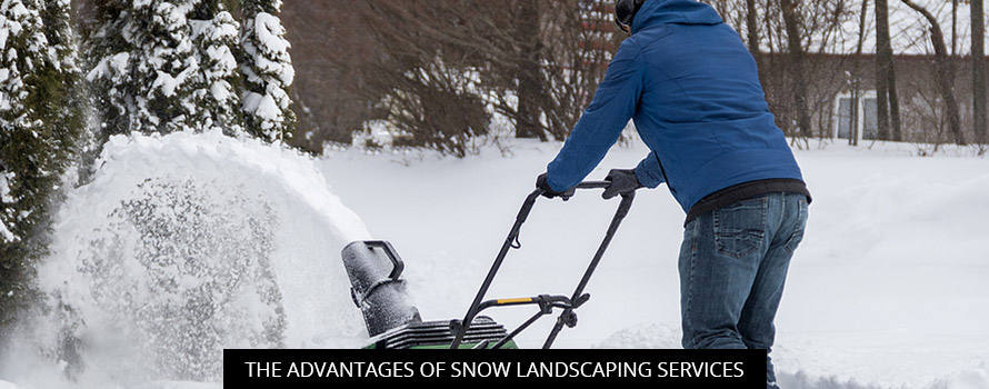 The Advantages Of Snow Landscaping Services
