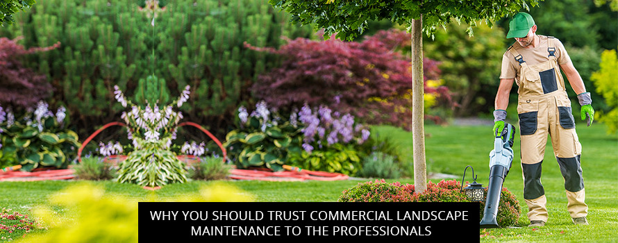 Why You Should Trust Commercial Landscape Maintenance to the Professionals