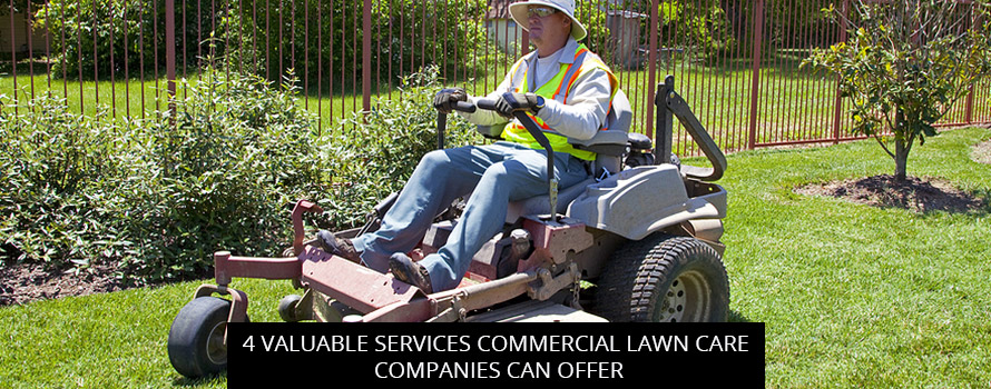4 Valuable Services Commercial Lawn Care Companies Can Offer