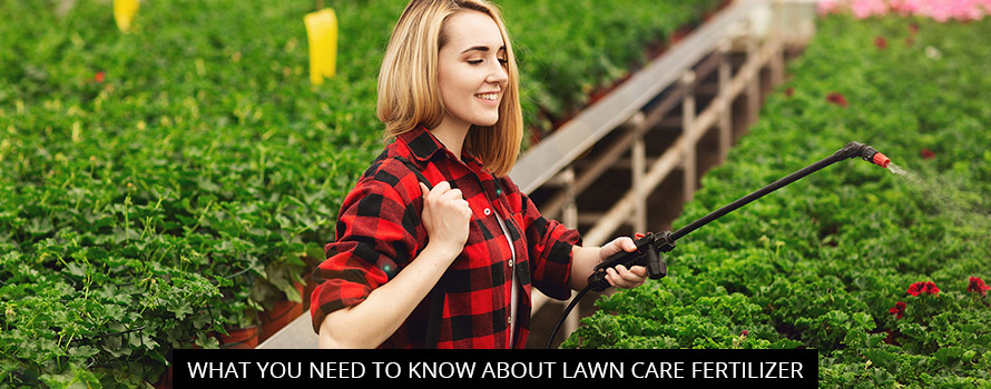 What You Need to Know About Lawn Care Fertilizer