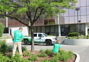 Don't-just-hire-a-lawn-mowing-company