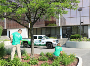 Don't-just-hire-a-lawn-mowing-company