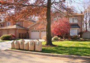Fall-clean-up-completed