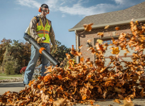 Stihl_BR_700_Backpack_Blower__1_