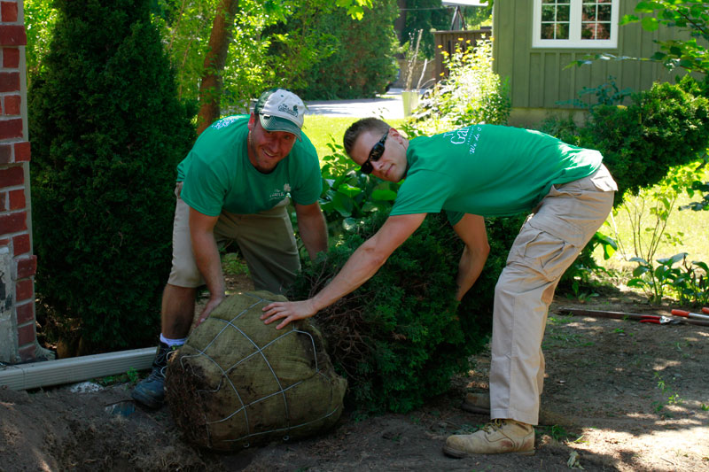 Planting-services-including-shrubs,-trees-and-all-types-of-flowers
