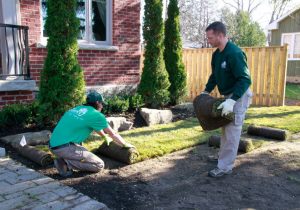 Sod-installations-of-any-size