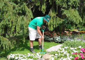 We-are-called-The-Gardener-afterall