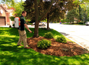 Curb-appeal-you-can-count-on