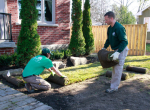 Sod-installations-of-any-size