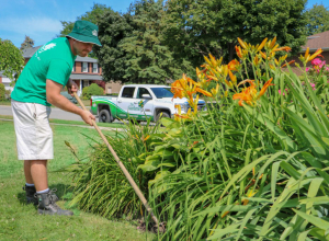 Summer-2016-Gardening-Shoot-176-FixBurntGrass